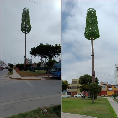 Proyecto